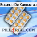 Kangaroo Essence levitra2